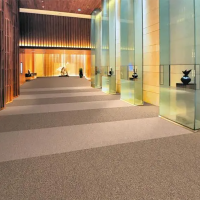 Carpet Tiles Nylon Fiber with PVC Backing for Library Flooring