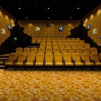 Factory Wholesale Nylon Cinema Theater Printed Carpets SHMECO Carpet