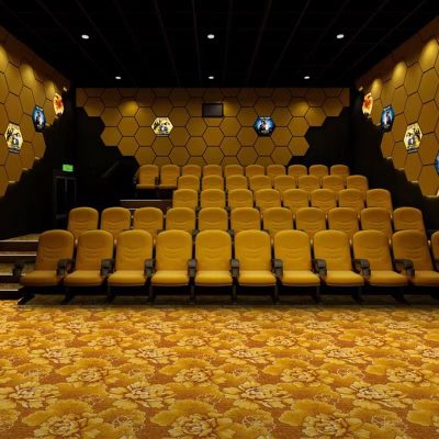 Factory Wholesale Nylon Cinema Theater Printed Carpets SHMECO Carpet